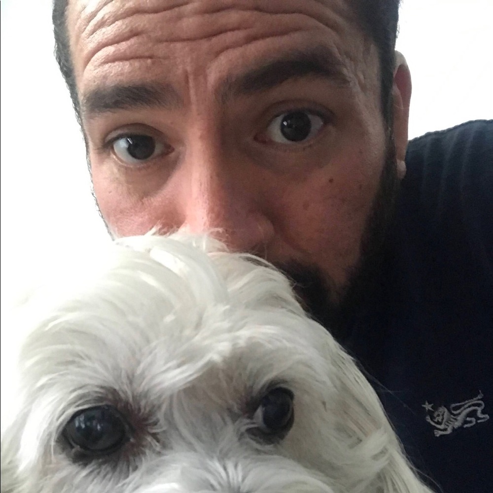 Let me be Frank….